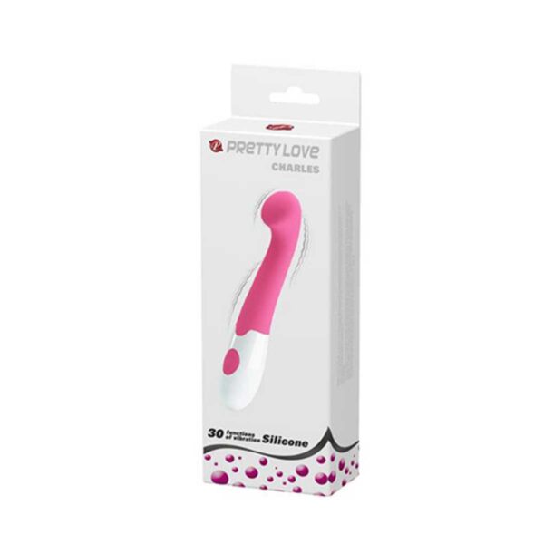 Vibrator Charles Vibrator Charles
