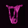 Chilot Cu Vibratii Realov Lydia I Smart Butterfly Vibe Purple Chilot Cu Vibratii Realov Lydia I Smart Butterfly Vibe Purple