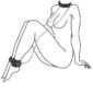 EasyToys Collar & Ankle Restraint Set