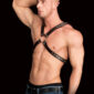 Harness Ouch Adonis High Halter