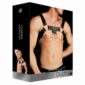 Harness Ouch Costas Solid Structure 2