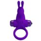 Inel Cu Vibratie Pretty Love Rabbit 10 Functii Purple