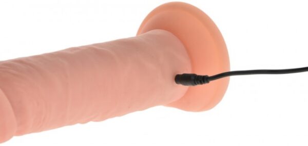 Vibrator Realistic Cu Telecomanda Wireless Premium 27 CM Vibrator Realistic Cu Telecomanda Wireless Premium 27 CM