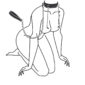 Easytoys Lead & Nipple Clamps Collar Restraint Set