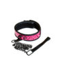 Zgarda Cu Lesa Sinful Pink Collar
